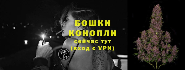 шишки Шадринск