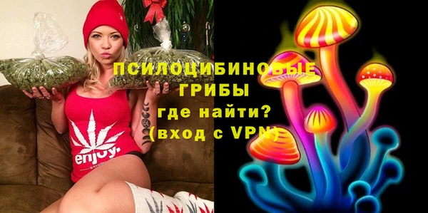 ПСИЛОЦИБИНОВЫЕ ГРИБЫ Дмитровск