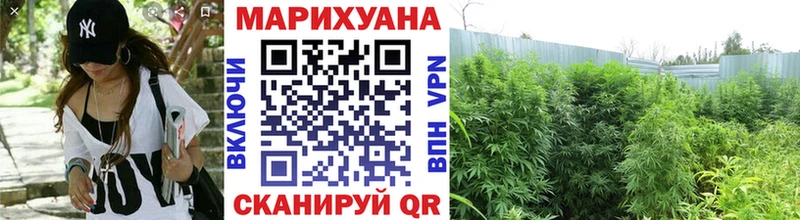 Бошки марихуана планчик  как найти   Колпашево 